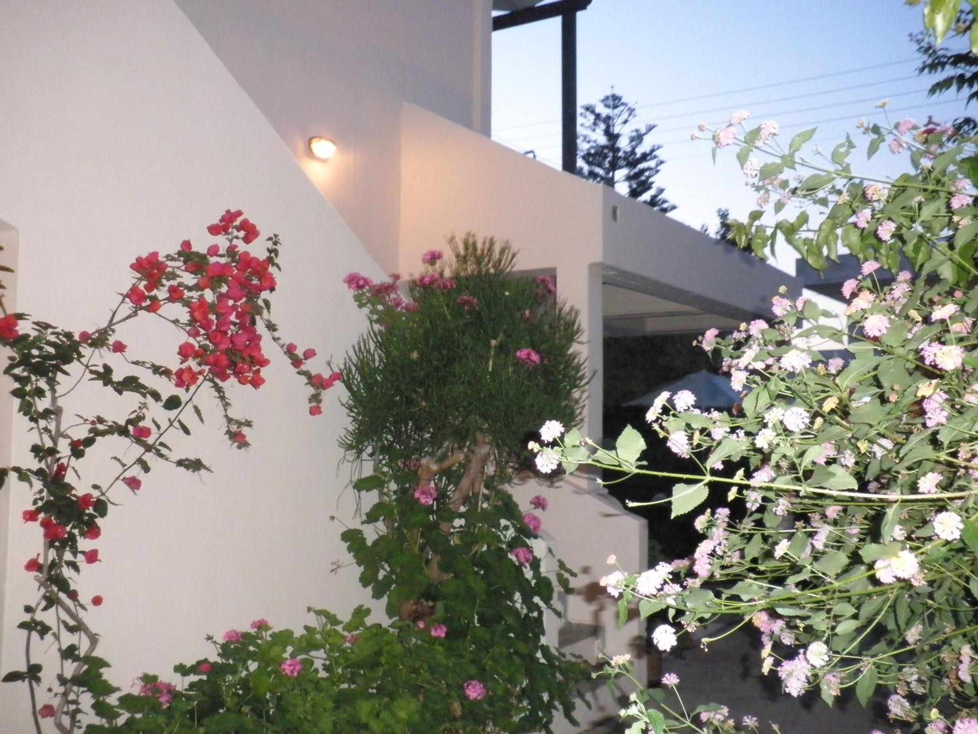 Kokkini Hani Aigialis Apartments & Studios المظهر الخارجي الصورة