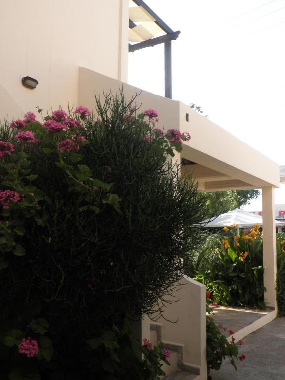 Aigialis Apartments & Studios Kokkini Hani الغرفة الصورة